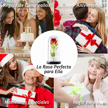 🌹 El Regalo que hará brillar los ojos de mamá✨